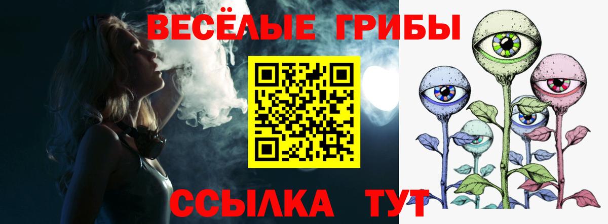Галлюциногенные грибы Psilocybine cubensis Невинномысск